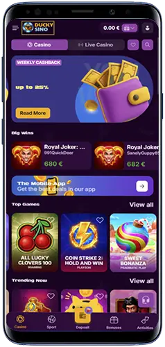 Is de Duckysino casino-app veilig?